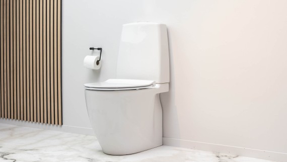 Ifö Spira Art 2.0 toilet